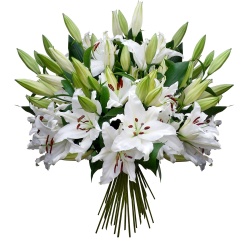 Faites livrer le Bouquet Tendre lys Bouquet Tendre lys