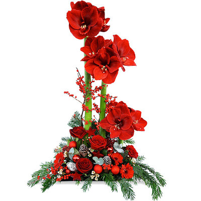 Offrez une Composition de Noël Composition Réveillon