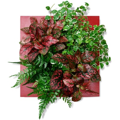 Commandez le tableau végétal Rouge plaisir Tableau végétal Tableau Rouge plaisir