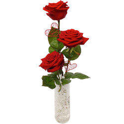 Faites livrer un Trio de roses Trio de roses