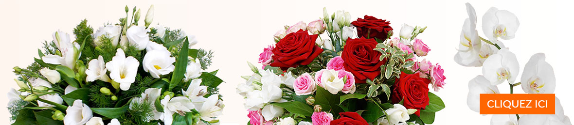 Code promo 123 fleurs, code de réduction | Site officiel 123fleurs