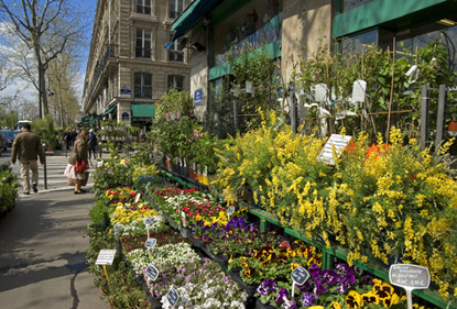 livraison fleurs avignon