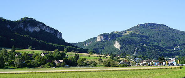 livraison-fleurs-jura