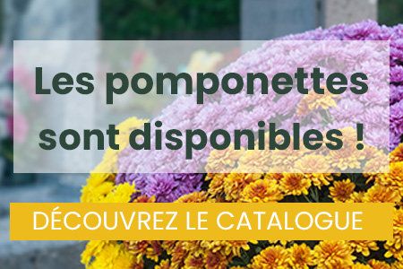 Commandez vos pomponettes