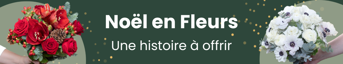 Noël en fleurs