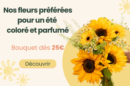 Nos fleurs pour l'été