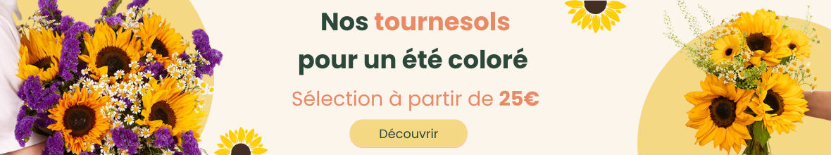 Les Tournesols sont arrivées !