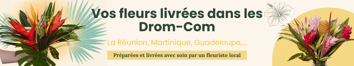 Livraison de fleurs dans els Drom-Com