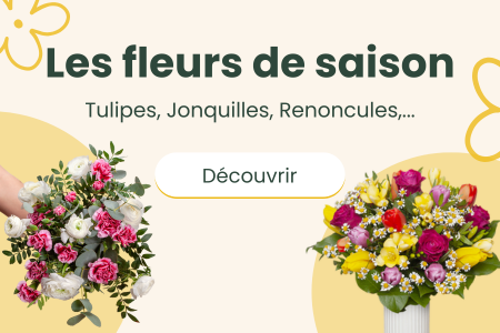 Découvrir le catalogue des fleurs de saison