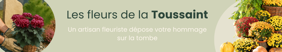 Les fleurs de la Toussaint