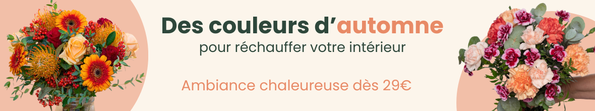 Nos fleurs de saison sont là !