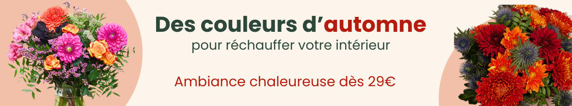 Ambiance chaleureuse dès 29€