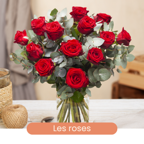 Catalogue roses
