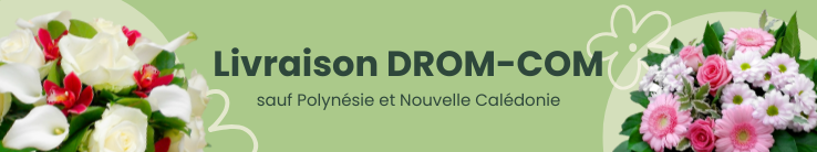 Livraison DROM-COM