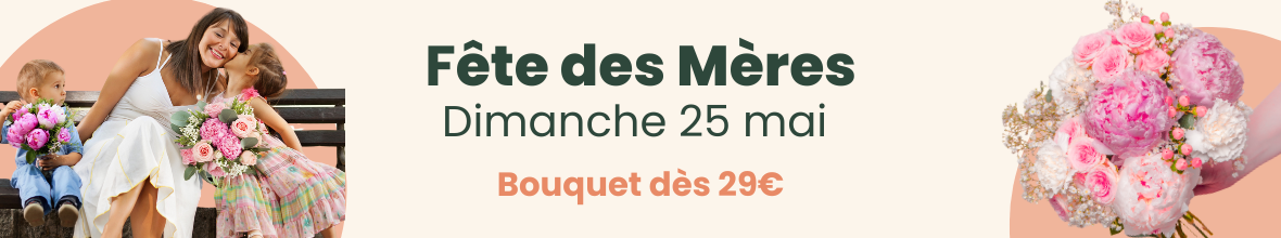 Envoyez des fleurs pour la fête des Mères