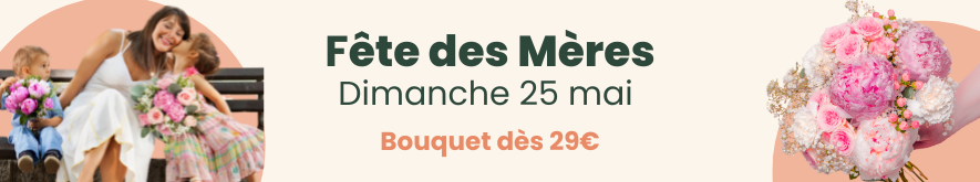 Envoyez des fleurs pour la fête des Mères
