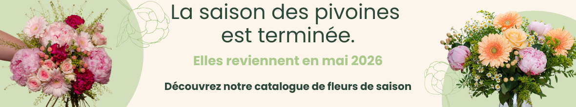 La saison des pivoines est terminée, découvrez nos fleurs de saison