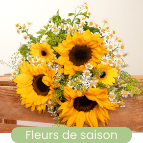 Fleurs de saison