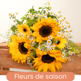 Fleurs de saison