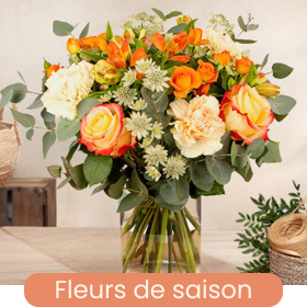 Saison