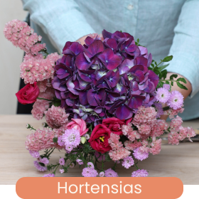 Hortensias
