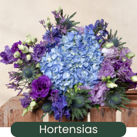 Hortensias