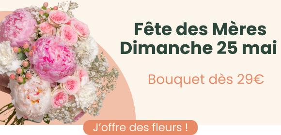 Pivoine