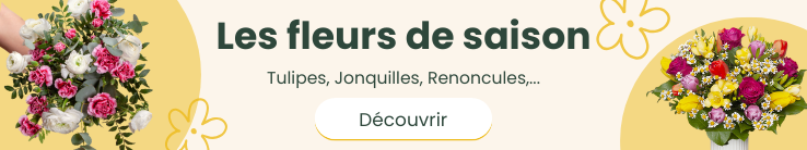Découvrir le catalogue des fleurs de saison