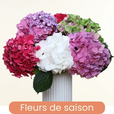 Saison