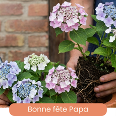 Fête des pères