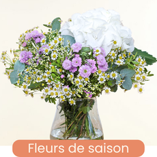 Saison
