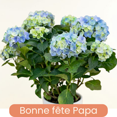 Fête des pères