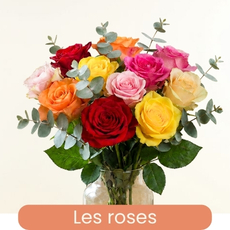 Nos roses