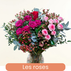 Nos roses