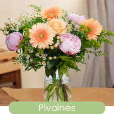 Les pivoines