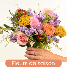 Saison