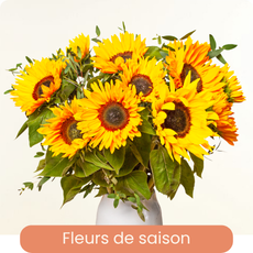 Catalogue fleurs de saison