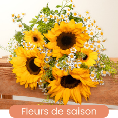 Fleurs de saison