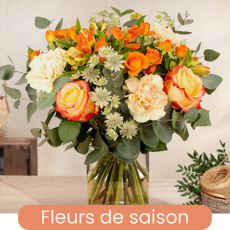 Saison