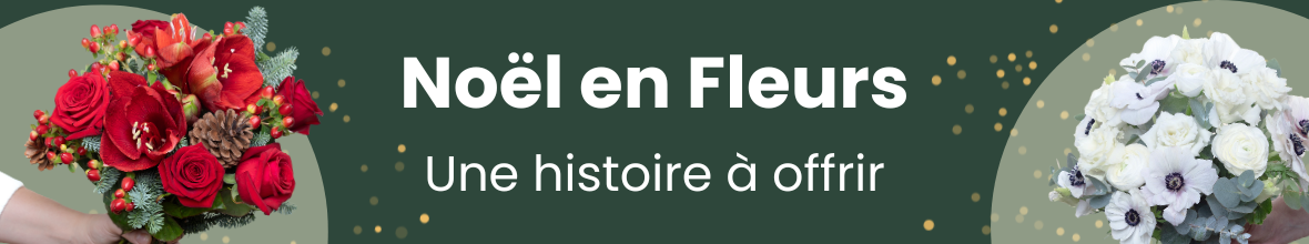 Noël en fleurs