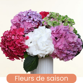 Saison