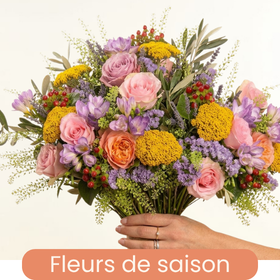 Saison