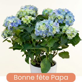 Fête des pères