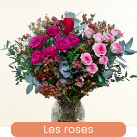 Nos roses