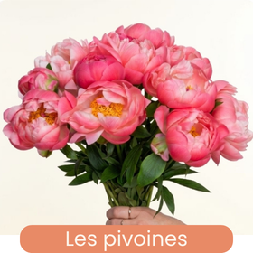 Les pivoines