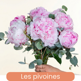 Les pivoines