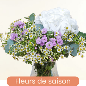 Saison