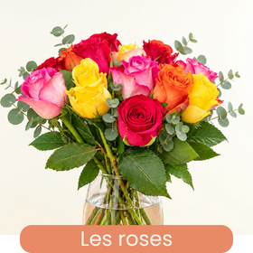 Nos roses