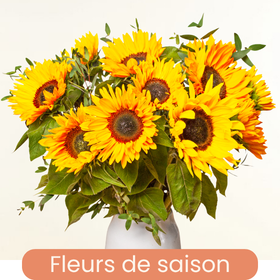 Catalogue fleurs de saison