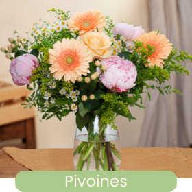 Les pivoines